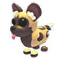 African Wild Dog